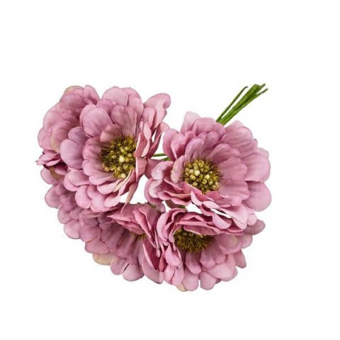 GERBERA SFUMATA MALVA D5